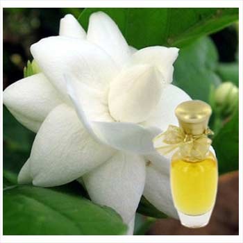 Majmua 96 Attar